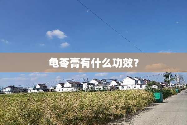 龟苓膏有什么功效？