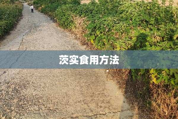茨实食用方法