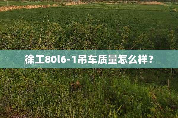 徐工80l6-1吊车质量怎么样？