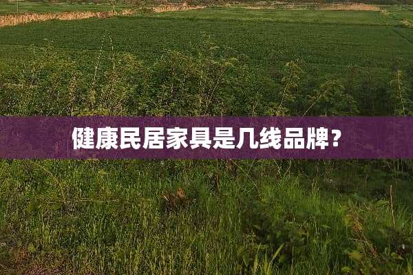 健康民居家具是几线品牌？