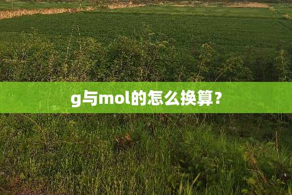 g与mol的怎么换算？