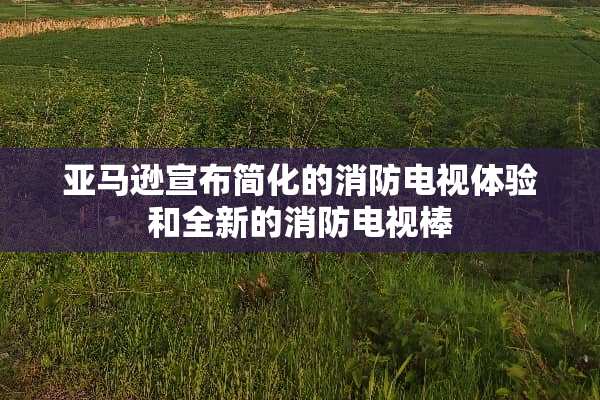 亚马逊宣布简化的消防电视体验和全新的消防***