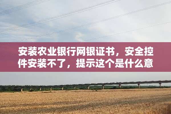 安装农业银行网银证书，安全控件安装不了，提示这个是什么意思？
