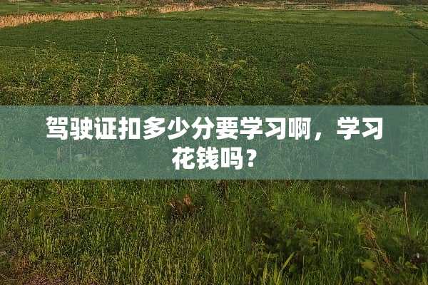 ***扣多少分要学习啊，学习花钱吗？
