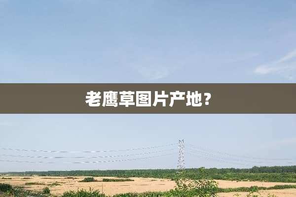 老鹰草图片产地？