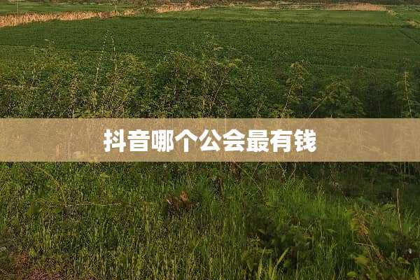 抖音哪个公会最有钱