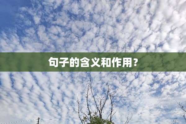 句子的含义和作用？
