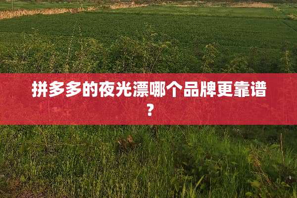 拼多多的夜光漂哪个品牌更靠谱？