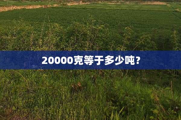 20000克等于多少吨？