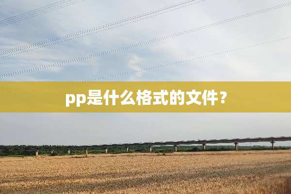 pp是什么格式的文件？
