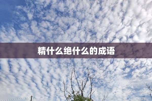 精什么绝什么的成语