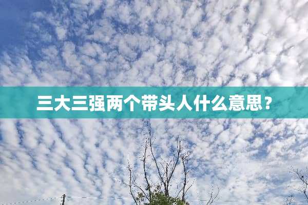 三大三强两个带头人什么意思？
