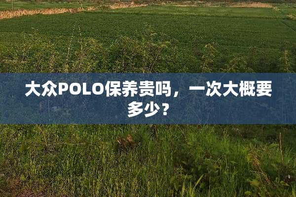 大众POLO保养贵吗，一次大概要多少？
