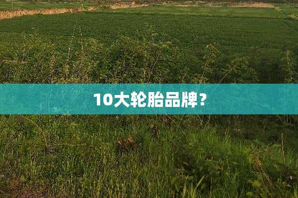 10大轮胎品牌？
