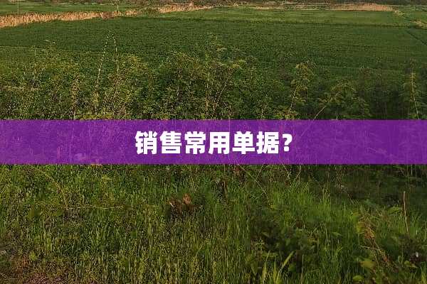 销售常用单据？
