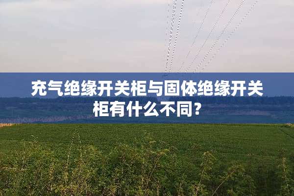 充气绝缘开关柜与固体绝缘开关柜有什么不同？