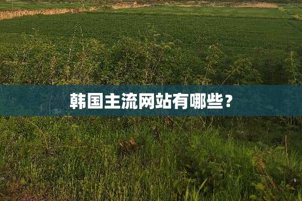 韩国主流网站有哪些？