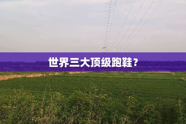 世界三大**跑鞋？