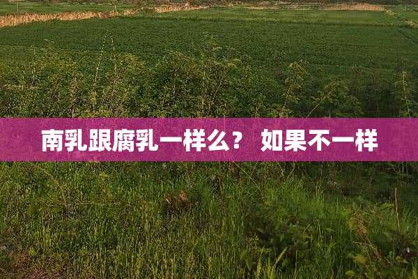 南*跟腐*一样么？ 如果不一样
