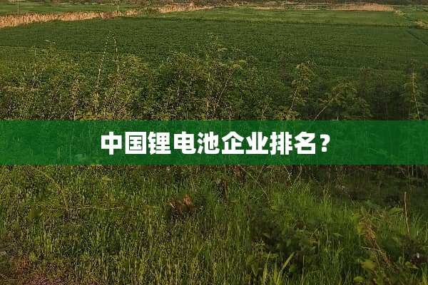 中国锂电池企业排名？