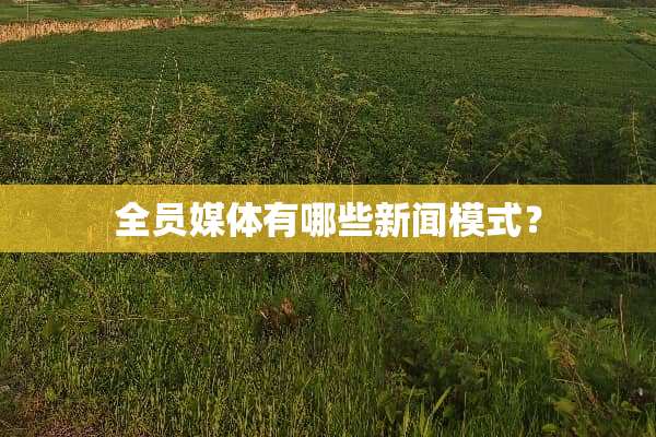 全员媒体有哪些新闻模式？