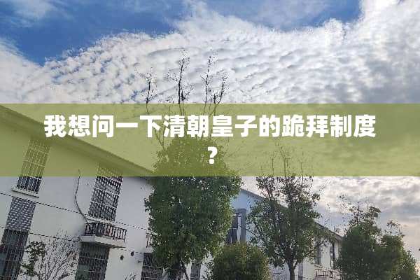 我想问一下清朝皇子的跪拜制度？