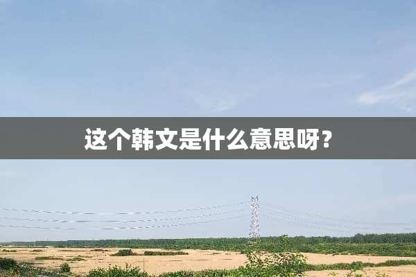 这个韩文是什么意思呀？