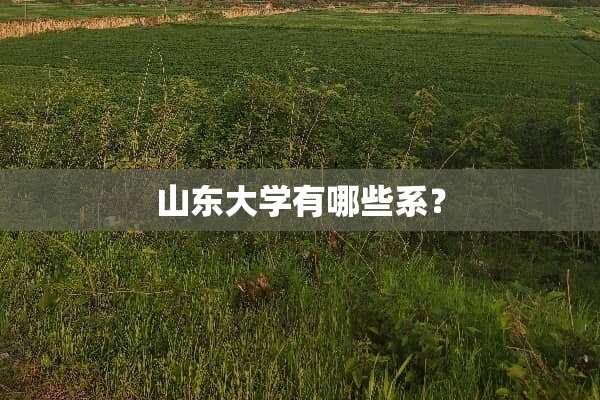 山东大学有哪些系？