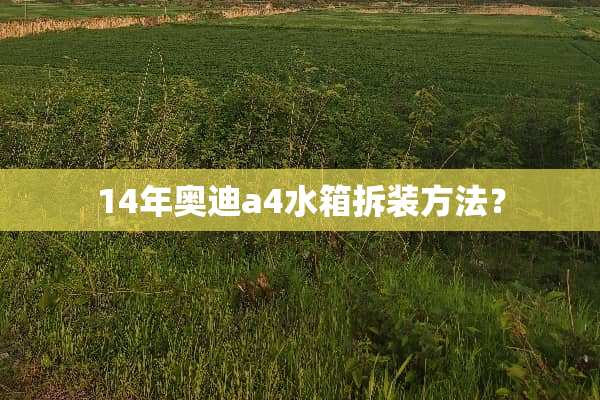 14年奥迪a4水箱拆装方法？