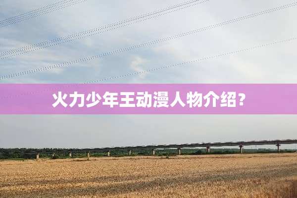 火力少年王动漫人物介绍？