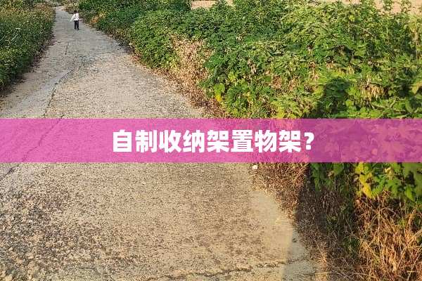 自制收纳架置物架？