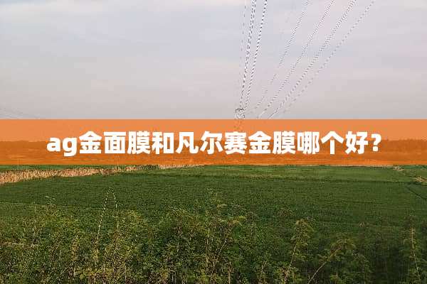 ag金面膜和凡尔赛金膜哪个好？