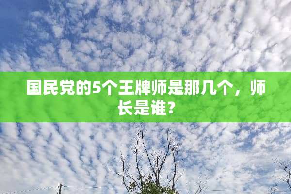 国民*的5个王牌师是那几个，师长是谁？