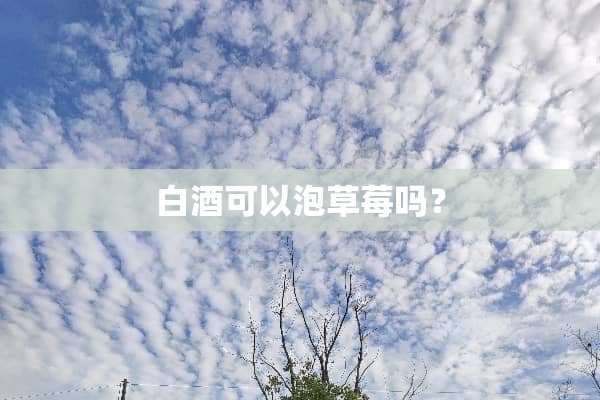 白酒可以泡草莓吗？