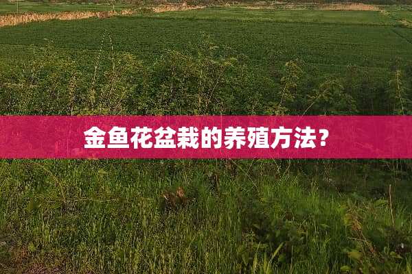 金鱼花盆栽的养殖方法？