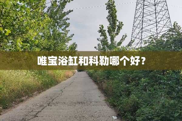 唯宝浴缸和科勒哪个好？