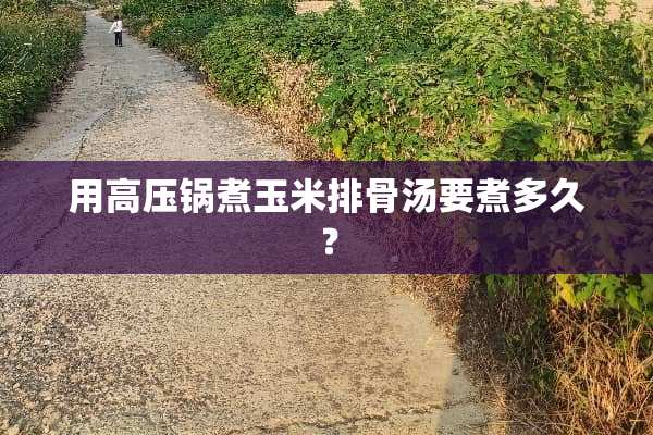用高压锅煮玉米排骨汤要煮多久？