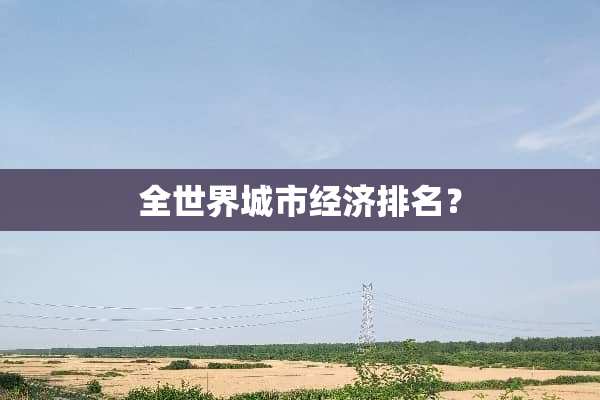 全世界城市经济排名？
