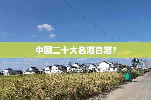 中国二十大名酒白酒？