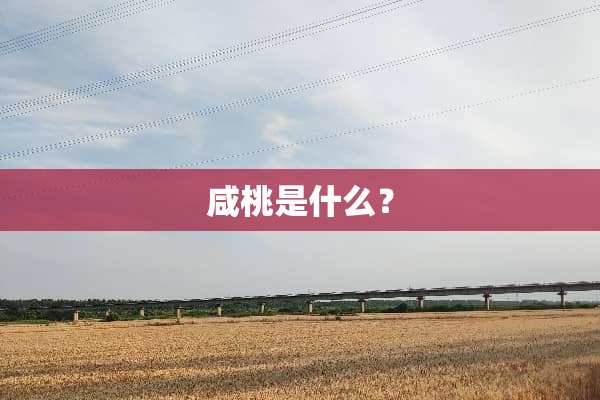 咸桃是什么？