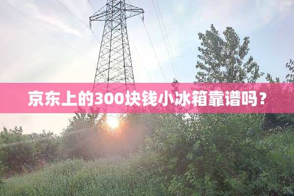 京东上的300块钱小冰箱靠谱吗？