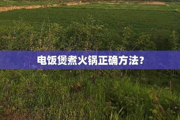 电饭煲煮火锅正确方法？