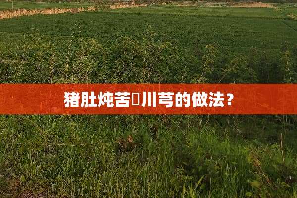 猪肚炖苦藠川芎的做法？