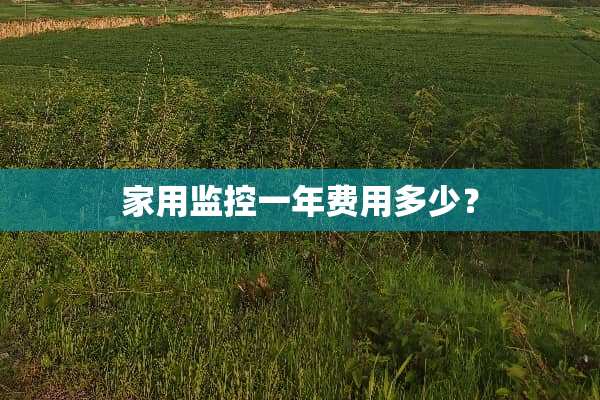 家用监控一年费用多少？