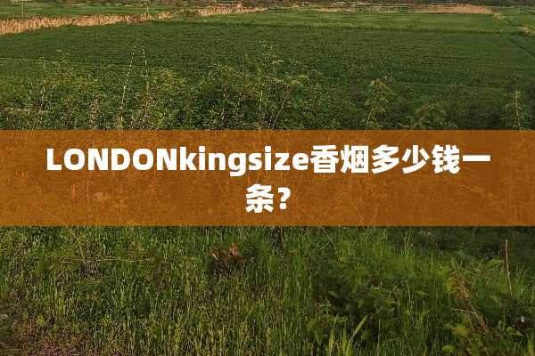 LONDONkingsize香烟多少钱一条？