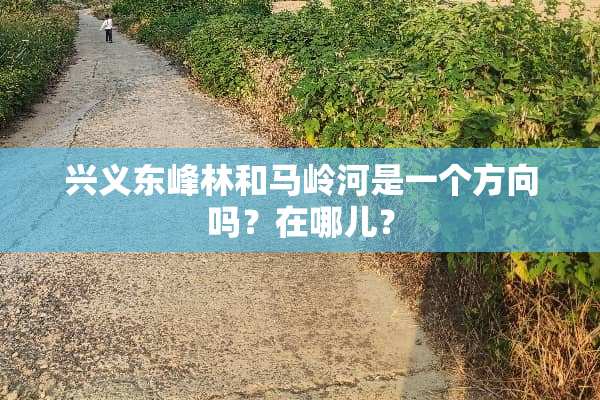 兴义东峰林和马岭河是一个方向吗？在哪儿？