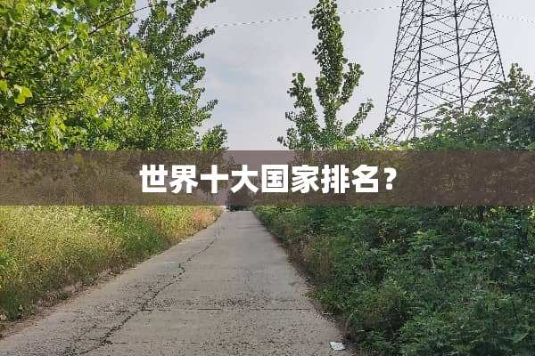 世界十大国家排名？
