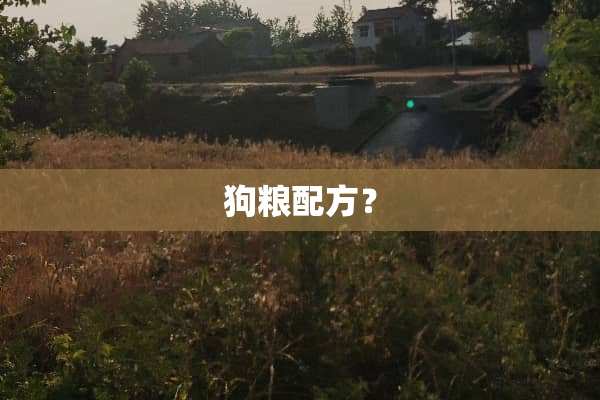 狗粮配方？