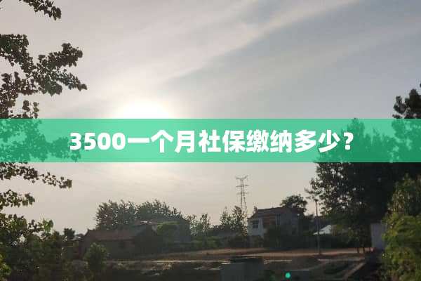3500一个月社保缴纳多少？