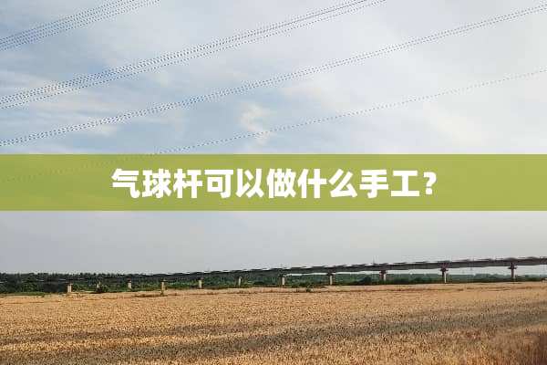 气球杆可以做什么手工？